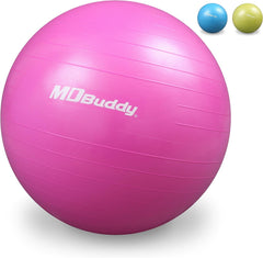Gymball with Hand Pump 55 MDBuddy