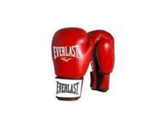 Boxing Gloves Everlast