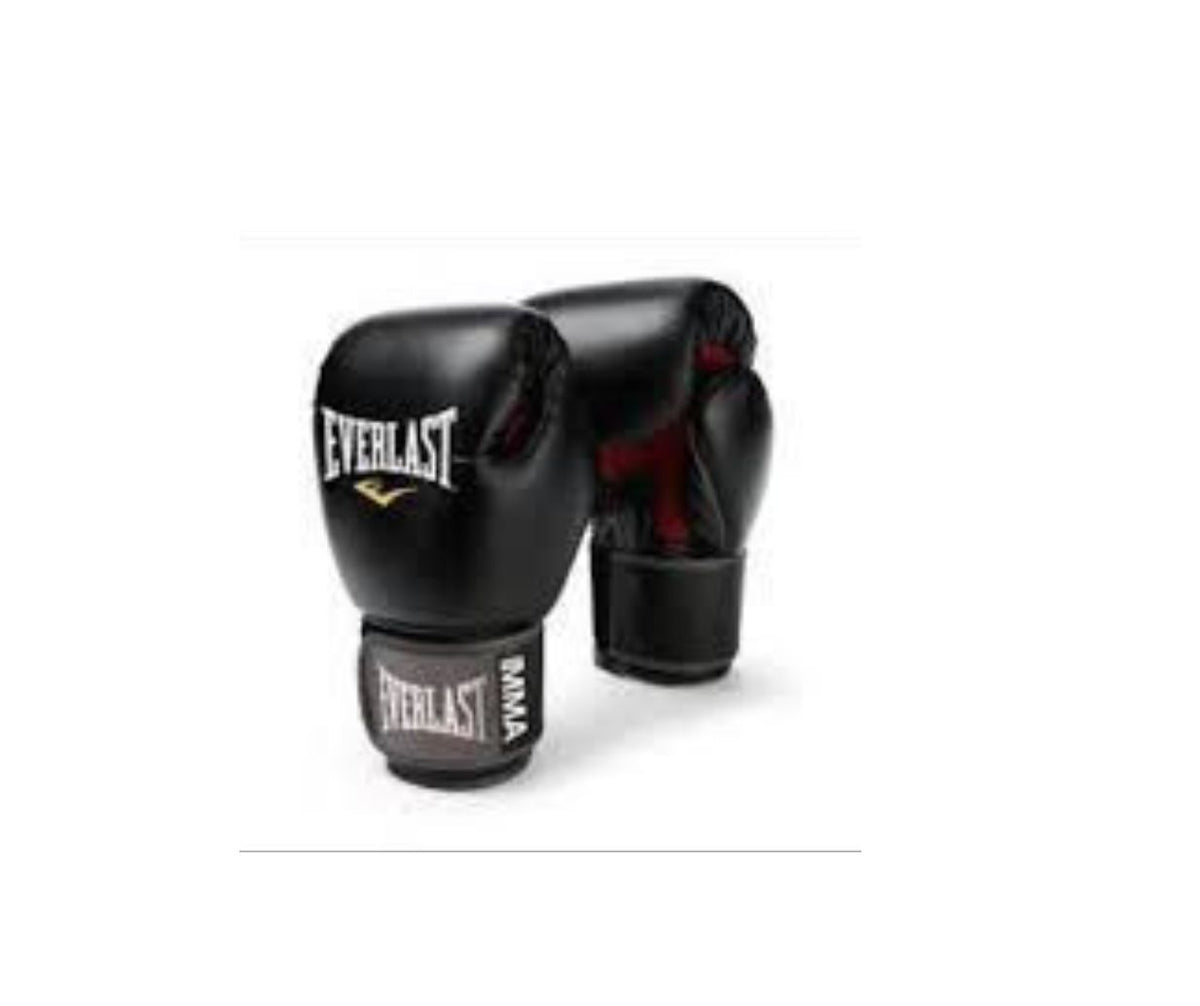 Boxing Gloves Everlast