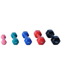 Vinyl Dumbbells