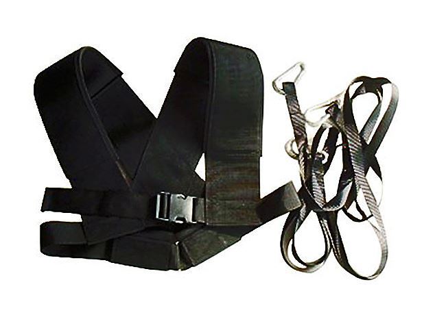 Power Sled with Harness